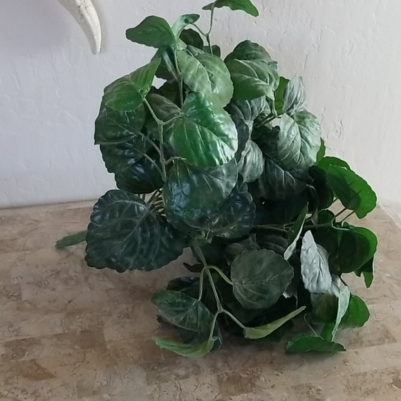 Faux Plant - Picture 2 of 3